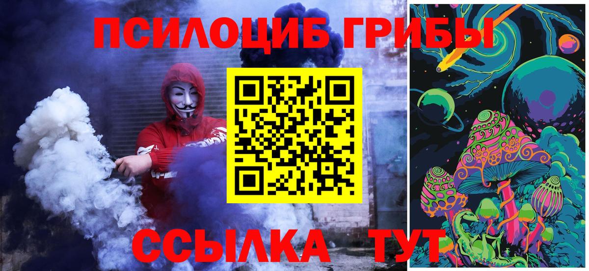Галлюциногенные грибы Psilocybe Печора